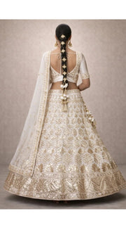 Champagne Zari Lehenga