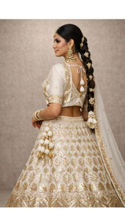 Champagne Zari Lehenga
