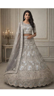 Silver Embroidered Lehenga